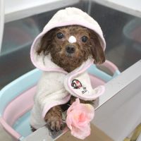 【池下店】2018年7月11日のワンちゃん達♪