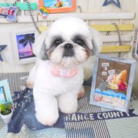 【山手店】2018年7月12日のワンちゃん達♪