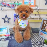 【山手店】2018年7月13日のワンちゃん達♪
