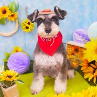 【山手店】2018年7月28日のワンちゃん達♪