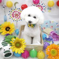 【池下店】2018年8月2日のワンちゃん達♪