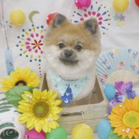 【池下店】2018年8月11日のワンちゃん達♪