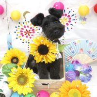 【池下店】2018年8月25日のワンちゃん達♪