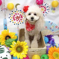 【池下店】2018年8月30日のワンちゃん達♪