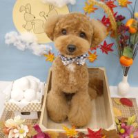 【池下店】2018年9月2日のワンちゃん達♪