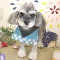 【本店】2018年8月18日のワンちゃん達♪