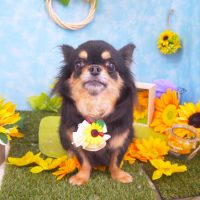 【山手店】2018年8月18日のワンちゃん達♪