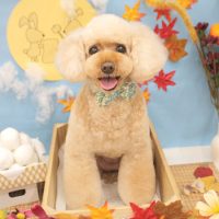 【池下店】2018年9月29日のワンちゃん達♪