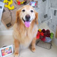 【山手店】2018年9月16日のワンちゃん達♪