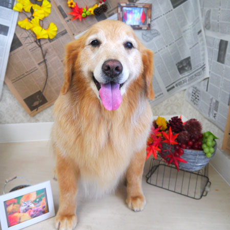 【山手店】2018年9月16日のワンちゃん達♪