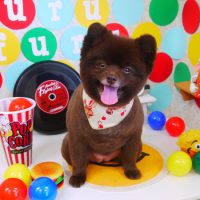 【山手店】2018年10月25日のワンちゃん達♪