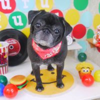 【山手店】2018年10月27日のワンちゃん達♪