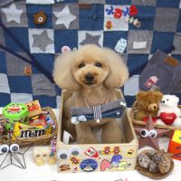 【池下店】2018年11月1日のワンちゃん達♪