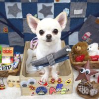 【池下店】2018年11月8日のワンちゃん達♪