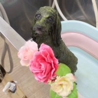 【池下店】2018年11月9日のワンちゃん達♪