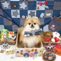 【池下店】2018年11月11日のワンちゃん達♪