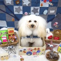 【池下店】2018年11月18日のワンちゃん達♪