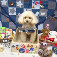 【池下店】2018年11月23日のワンちゃん達♪