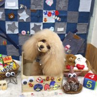 【池下店】2018年11月24日のワンちゃん達♪