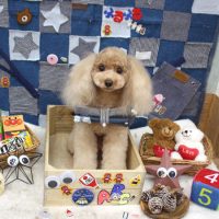 【池下店】2018年11月25日のワンちゃん達♪