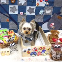 【池下店】2018年11月28日のワンちゃん達♪