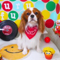 【山手店】2018年11月1日のワンちゃん達♪