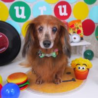 【山手店】2018年11月11日のワンちゃん達♪