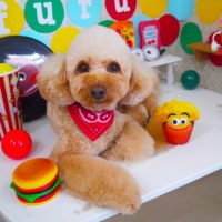 【山手店】2018年11月12日のワンちゃん達♪