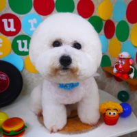 【山手店】2018年11月15日のワンちゃん達♪