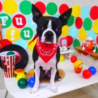 【山手店】2018年11月17日のワンちゃん達♪