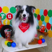 【山手店】2018年11月18日のワンちゃん達♪