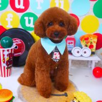 【山手店】2018年11月23日のワンちゃん達♪