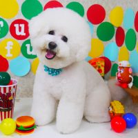 【山手店】2018年11月24日のワンちゃん達♪