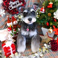 【山手店】2018年11月30日のワンちゃん達♪