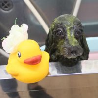 【池下店】2018年12月21日のワンちゃん達♪