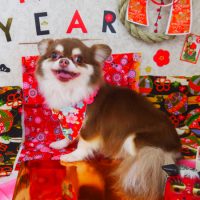 【山手店】2018年12月26日のワンちゃん達♪