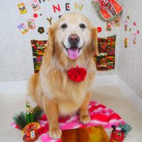 【山手店】2019年1月20日のワンちゃん達♪