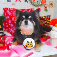 【山手店】2019年1月21日のワンちゃん達♪