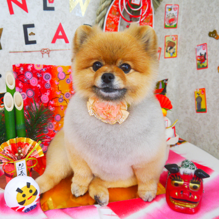 【山手店】2019年1月23日のワンちゃん達♪