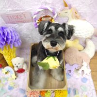 【池下店】2019年1月13日のワンちゃん達♪