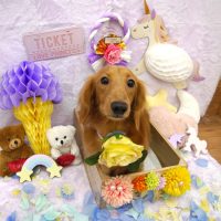 【池下店】2019年1月14日のワンちゃん達♪