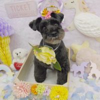 【池下店】2019年1月18日のワンちゃん達♪