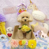 【池下店】2019年1月19日のワンちゃん達♪