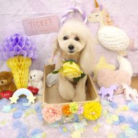 【池下店】2019年1月24日のワンちゃん達♪