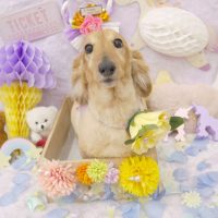 【池下店】2019年1月30日のワンちゃん達♪