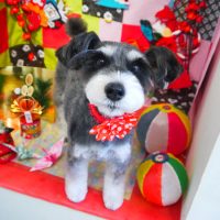 【本店】2019年1月12日のワンちゃん達♪