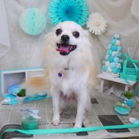 【山手店】2019年2月7日のワンちゃん達♪