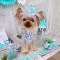 【山手店】2019年2月11日のワンちゃん達♪