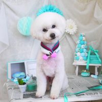 【山手店】2019年2月15日のワンちゃん達♪