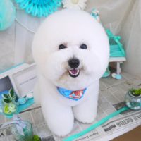 【山手店】2019年2月16日のワンちゃん達♪